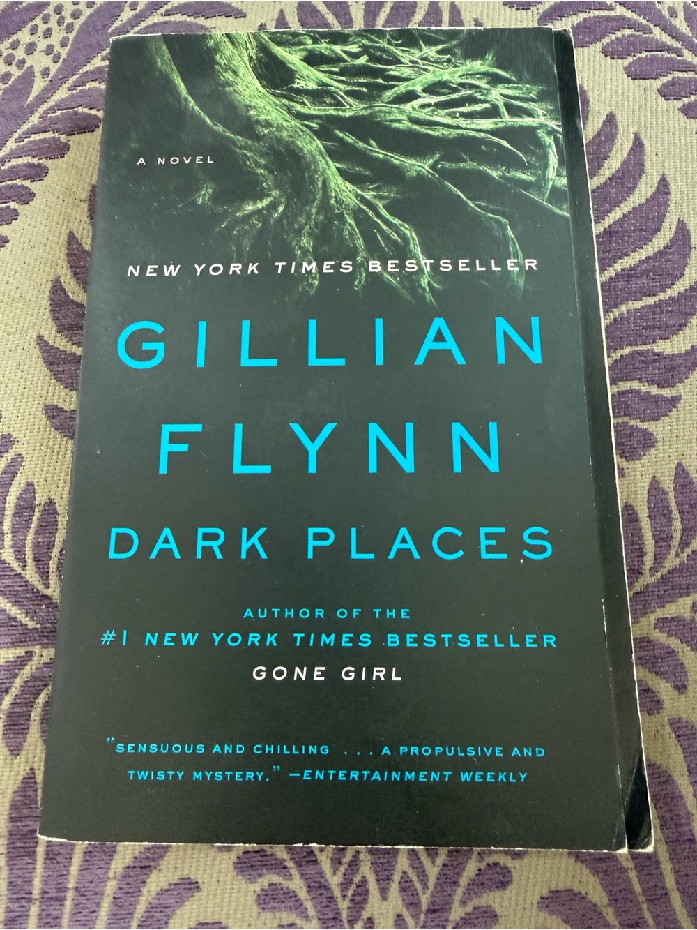 Gillian Flynn "Dark Places" Paperback Novel